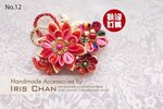 No.12 Price $200 (售罄）