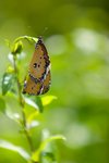 IMG_5395