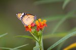 IMG_5406