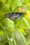 IMG_5483