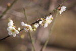 IMG_1497