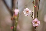 IMG_6407