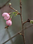 IMG_6648
