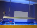 LED Light 39'