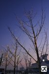 北京奧運村