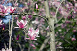 IMG_3706