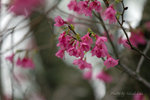 IMG_3895
