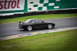 20120311-IMG_7181-3