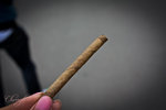 20120311-IMG_7359-3