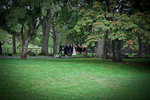 20120317-IMG_7840
