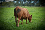 20120317-IMG_7842
