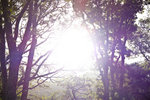 20120317-IMG_7845