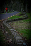 20120317-IMG_7852
