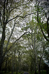 20120317-IMG_7854