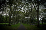 20120317-IMG_7857