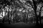 20120317-IMG_7863