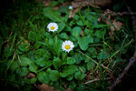 20120317-IMG_7874