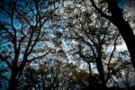 20120317-IMG_7881