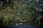 20120317-IMG_7909