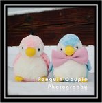 Penguin Couple