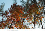 ADSC_6718