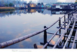 ADSC_7329