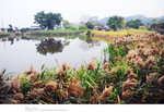 ADSC_7353