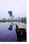 ADSC_7385