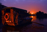 ADSC_7441