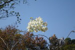 DSC01758