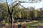 
DSC01787