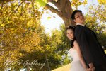 DSC_0110-1-1