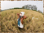 Autumn06