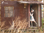 Autumn11