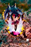 Diving