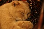 DSC05657