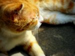 IMG_3557