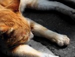 IMG_3559