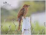 DSCN1169_01
