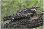 DSCN1173_01