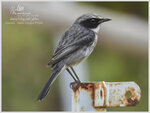 DSCN1477_01