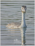 DSCN1573_01