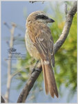 DSCN1789_01