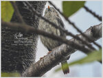 DSCN2670_01
