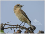 DSCN2870_01