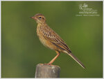 DSCN3039_01