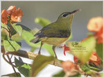 DSCN5195_01