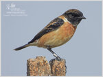 DSCN5910_01