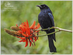 DSCN6032_01