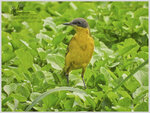 DSCN6141_01